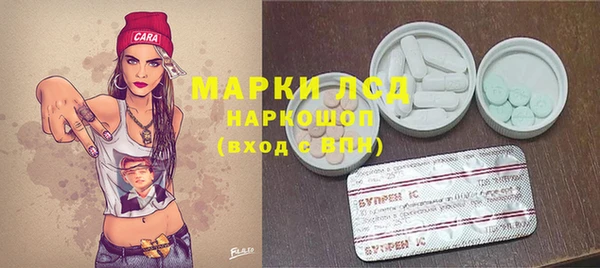 твердый Вяземский