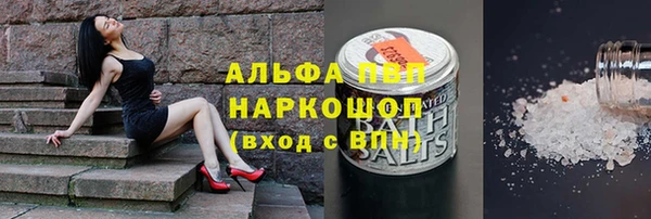 твердый Вяземский