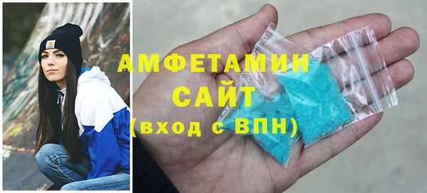 твердый Вяземский